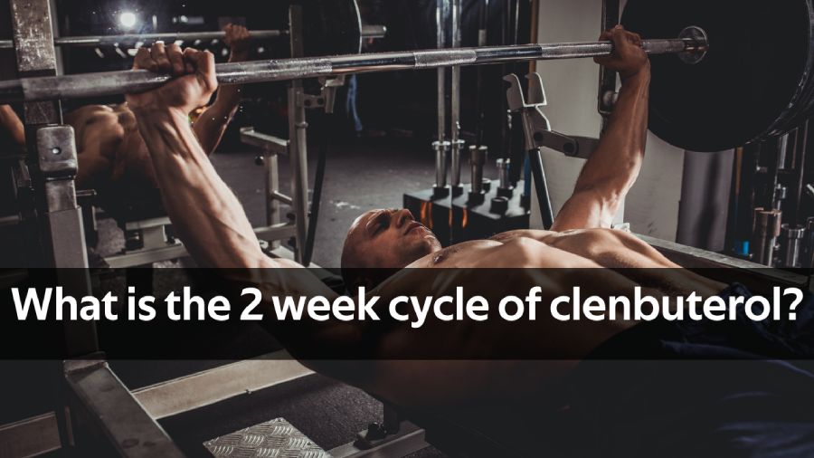 2 week clenbuterol before and after